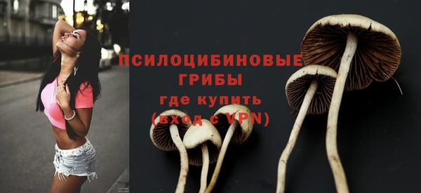 гашиш Арсеньев