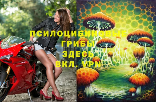 молекула духа Аркадак