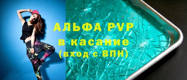 индика Белокуриха