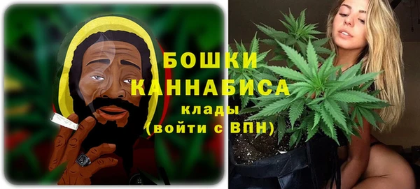 молекула духа Аркадак