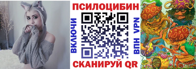 Галлюциногенные грибы Psilocybine cubensis  ссылка на мегу tor  Братск  купить наркотики цена 